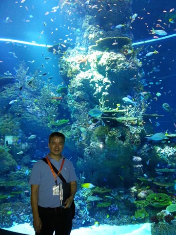 S.E.A Aquarium 