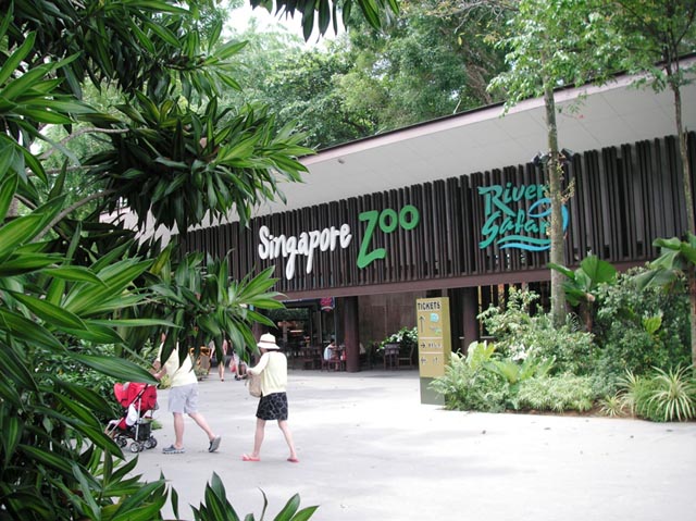 Singapore Night Safari